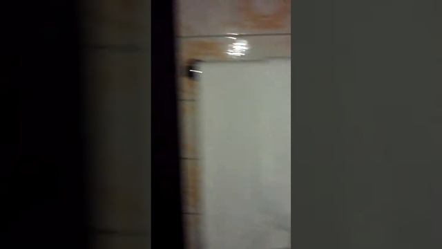 Быт гастробайтера в швейцарии смотреть онлайн