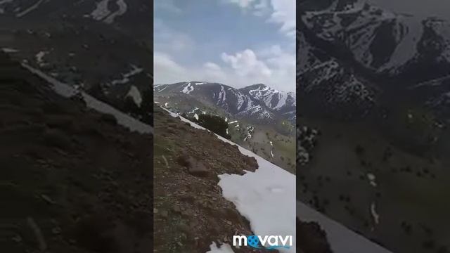 Вешист смотреть онлайн
