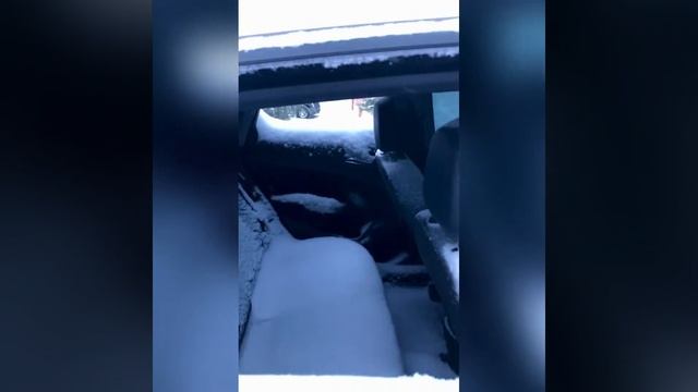 Веселое доброе утро!!