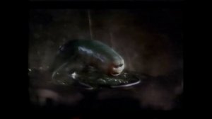 Domestos Миллионы Микробов УМРУТ!!!