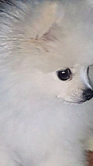 укладываемся спать смотреть онлайн