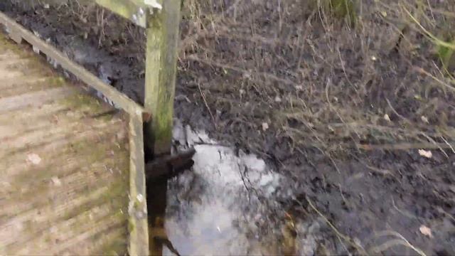 46. CHÂTEAU D'HARDELOT. ФРАНЦУЗСКИЙ ЗАМОК В СОБСТВЕННОСТИ АНГЛИЧАН.ШАТО АРДЕЛО. ЕЛИЗАВЕТИНСКИЙ ТЕАТ