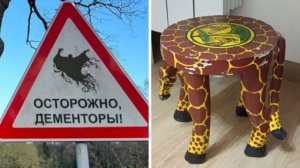 Фото подписчиков Фактории (242 часть)