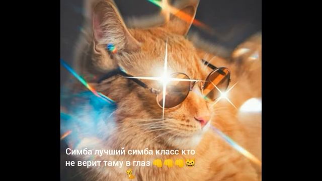 Симба лучший симба класс кто не верит таму в глаз 👊👊
