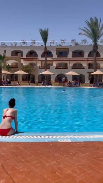 Egypt 2022. Hotel Albatros Royal Grand. Sharm el Sheikh. Египет.Шарм эль Шейх. Красное море смотреть онлайн