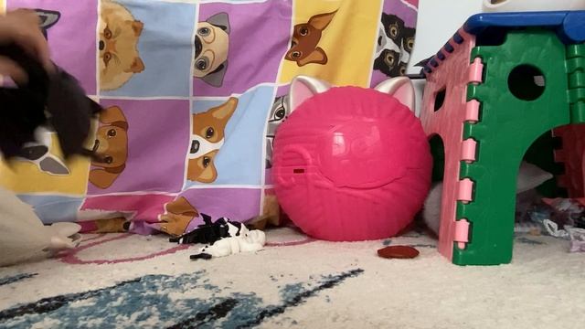 Лулу и ее Драконы смотреть онлайн