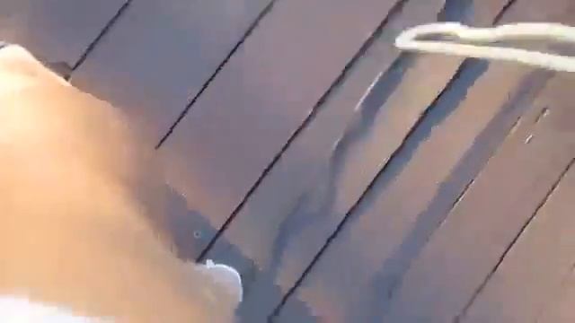 FOOT FETISH,ножки,ступни1