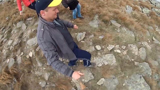 Білі ослави//Гора Говерла//Карпати 2014//Gopro hero 3//Hoverla HD Video смотреть онлайн