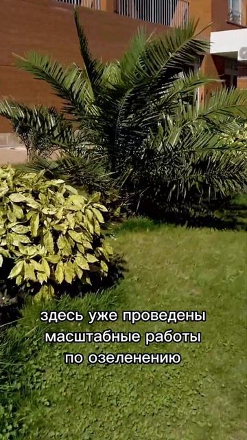 Обзор ЖК на берегу моря в Сочи #shorts смотреть онлайн