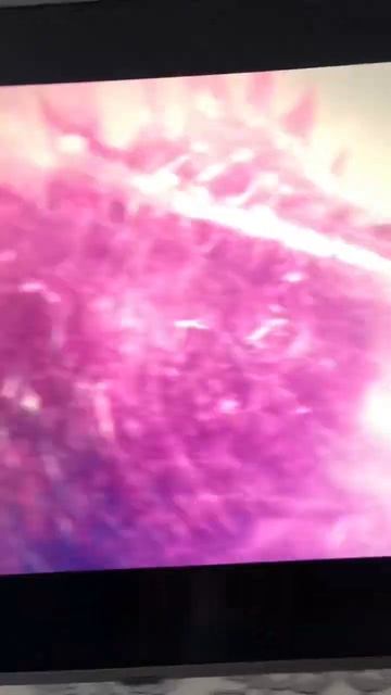 Топ 5 моих любимых титанов #monsterverse #godzilla #godzillavskong