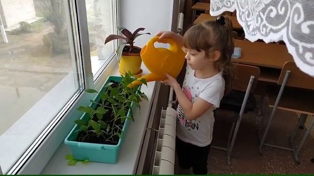 День Земли
