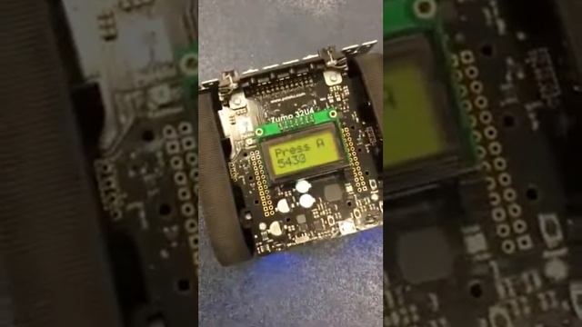 Zumo sumo with box смотреть онлайн