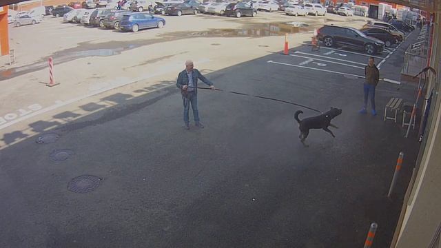 Канал 26 01 05 2018 13 33 53 смотреть онлайн