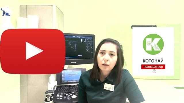 Рвота у питомцев | Возможные причины смотреть онлайн