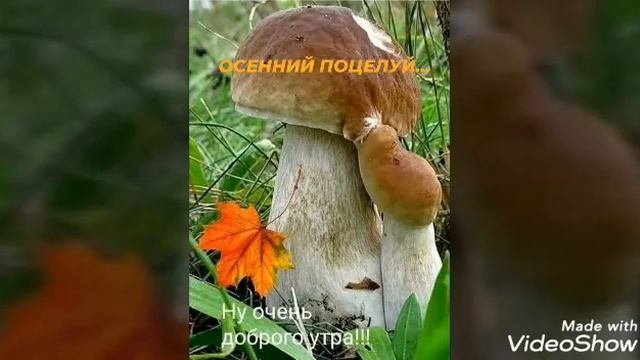 Угу-гу-гу！ смотреть онлайн