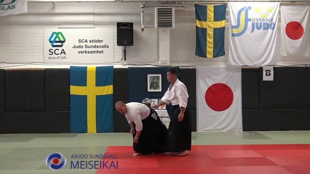 18 Aikido Shomen Uchi Ikkyo Omote, Shishiya Sensei Sundsvall 2016