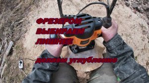 Чаша из дерева углубление фрезером.Сувель берёзы.