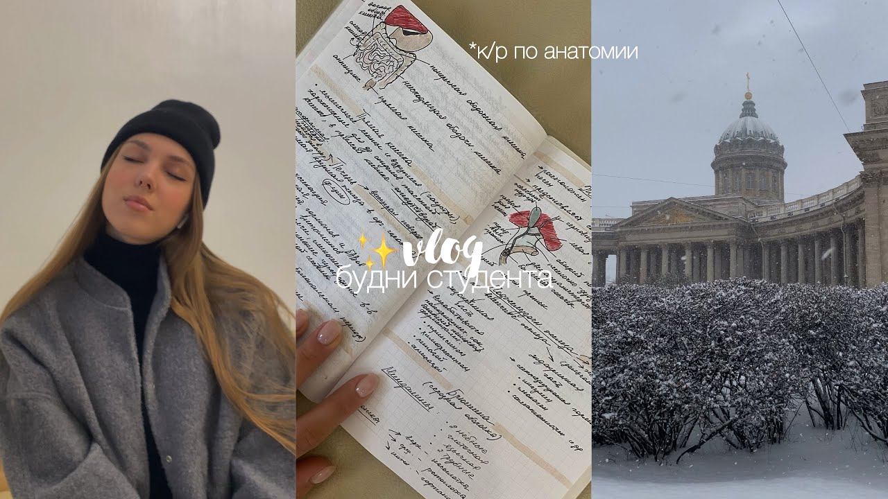vlog: будни студента Герцена: сдаю анатомию и гуляю по Питеру ✨ смотреть онлайн