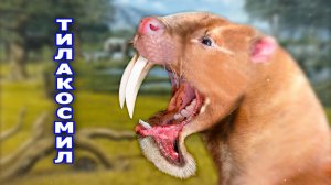 Тилакосмил. Сумчатый саблезубый «НЕ ТИГР». Вымершее животное. Видео про животных