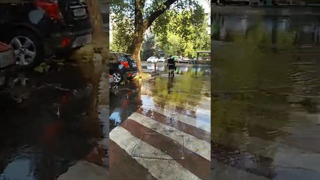 Мирской потоп смотреть онлайн