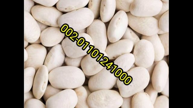 سعر اللوبيا الناشفة اليوم،بيع اللوبيا تصدير الفاصوليا البيضاء 2020الصدرسعركيلو اللوبيا 2021شركات بي смотреть онлайн