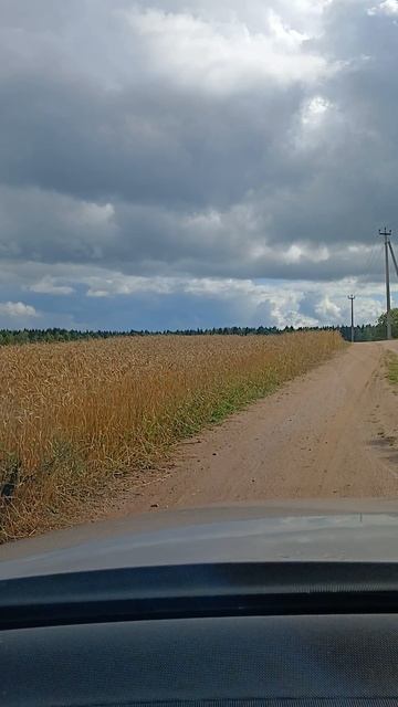 Дороги мои Дороги