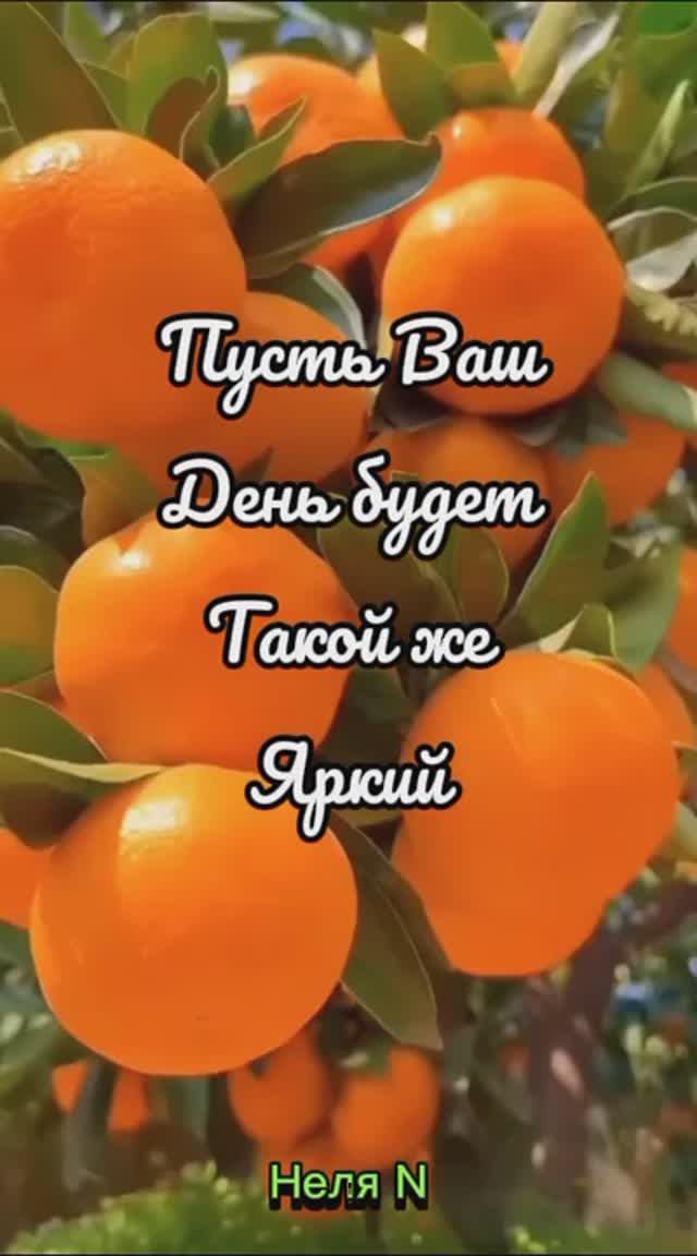 Доброго Дня. ВидеоОткрытки на каждый день смотреть онлайн