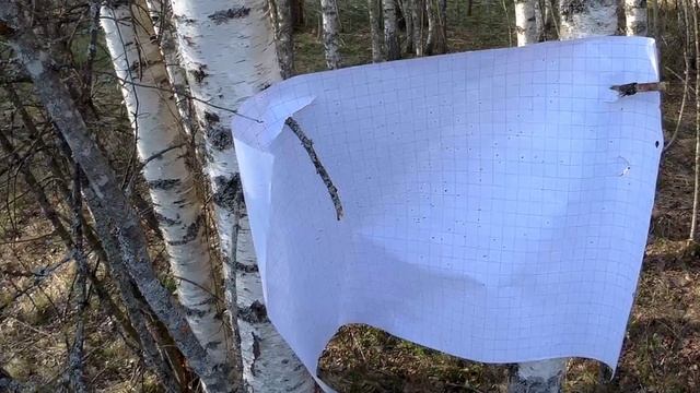 Ходил я как-то на охоту по весне впервые