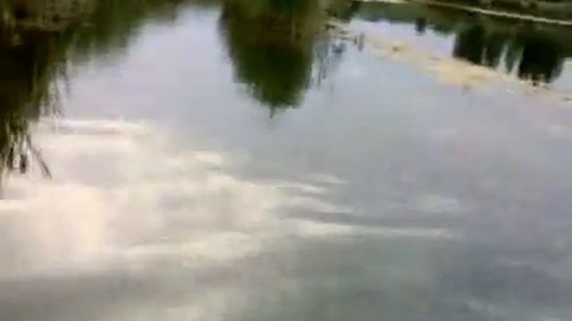 Хард эндуро SV 1000S.mp4 смотреть онлайн
