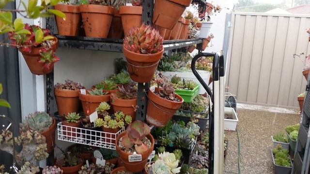 HAIL ON CHRISTMAS DAY смотреть онлайн