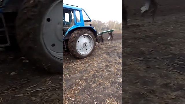 пахота трактором мтз 80 ,плуг 3-35 з текроновими отвалами смотреть онлайн