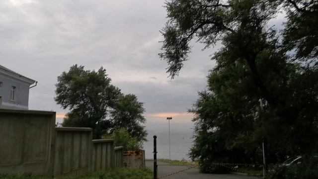 Морской государственный университет им. Адм. Г. И. Невельского, птицы и море...