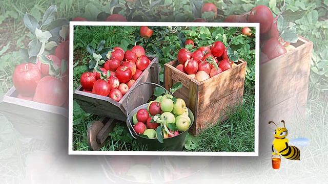 С ЯБЛОЧНЫМ СПАСОМ! HD смотреть онлайн