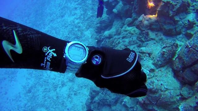 A Rare Find of Spectacular Bicolor Anthias and P смотреть онлайн