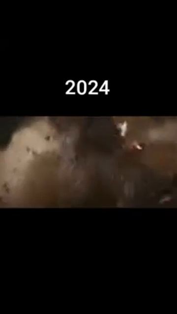 Годзилла и Конг новая империя 2024 смотреть онлайн