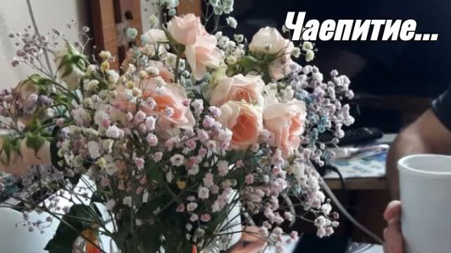 #гости с Сахалина