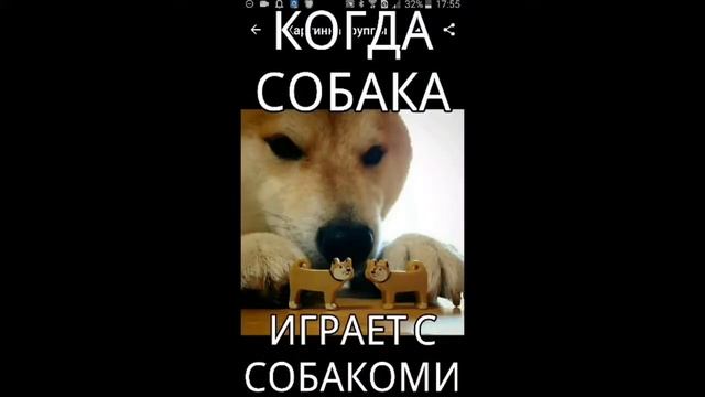 Раз Раз Раз это Шелли Акк