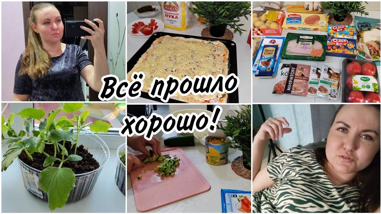 Почему лежит за дверью?? Домашняя пицца Моя рассада на работе. Покупки с магазина Красное&Белое. смотреть онлайн