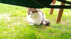 у Веры в гостях