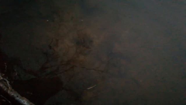 Рак в Ястребином озере. 2.05.2020. смотреть онлайн