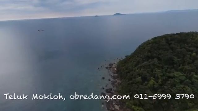 Teluk Mok Loh Blue Coral | Pulau Redang смотреть онлайн