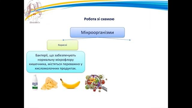 Чи може їжа стати причиною інфекційних хвороб. 3 клас