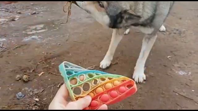 Все игрушки снежка