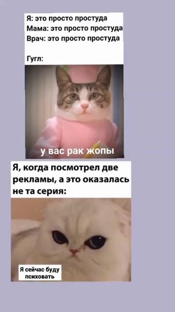 Мем из тиктока ☕ #мем #мемы #прикол #приколы #смешно #смех #юмор #ржака #рофл #тикток #жиза #shorts