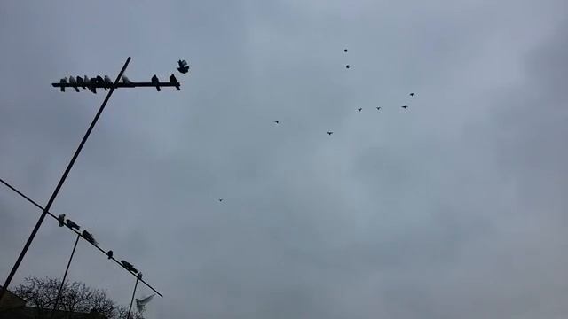 Ейск Леха смотреть онлайн