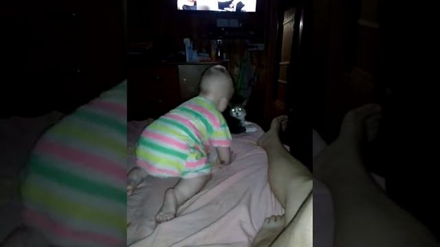 Снежок и кот смотреть онлайн