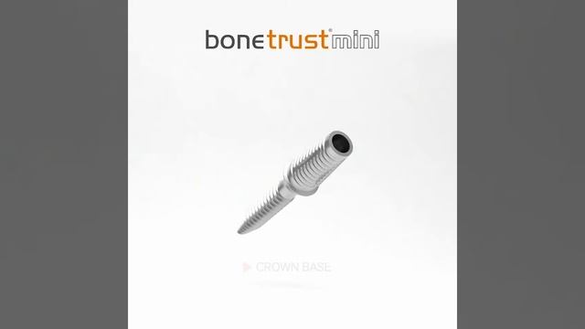 BoneTrust® mini | mini+ смотреть онлайн