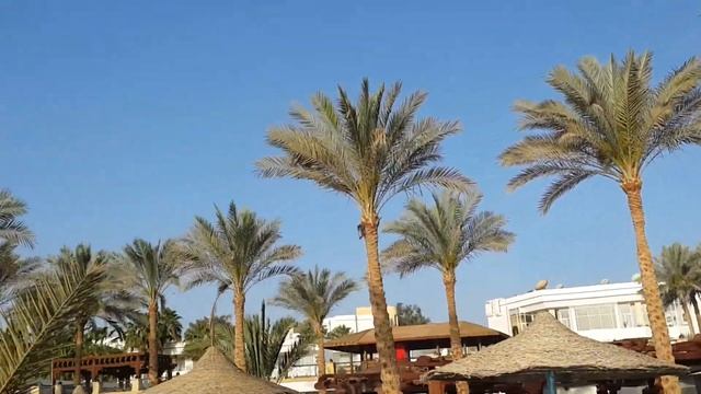 Египет пляж отеля Queen Sharm Resort Egypt Beach Hotel Queen Sharm Resort