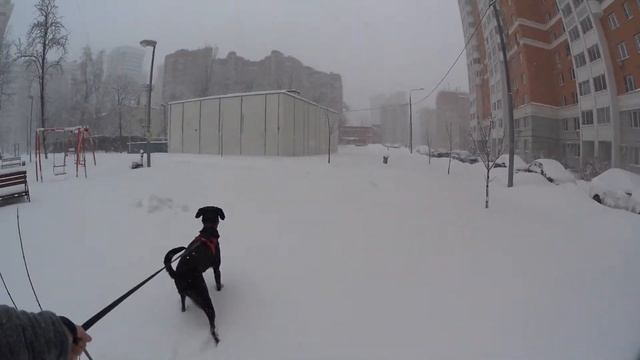 Айка и Зима