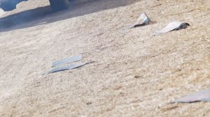 Съёмки клипа «Cinema» от Линоу и Сынмина из Stray Kids